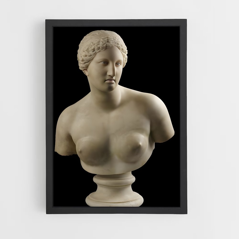 ap-aphrodite of knidos-3 cadre Noir