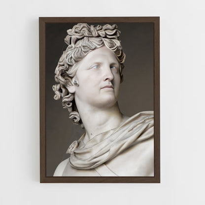 ap-apollo belvedere-1 cadre Bois foncé