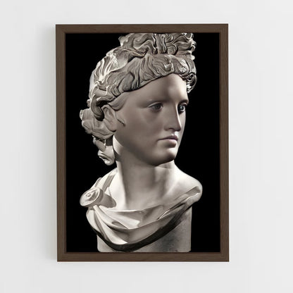 ap-apollo belvedere-3 cadre Bois foncé