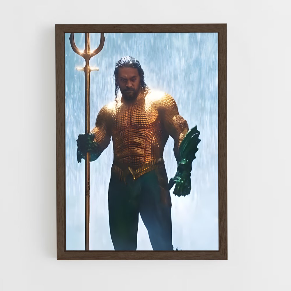 ap-aquaman-12 cadre Bois foncé