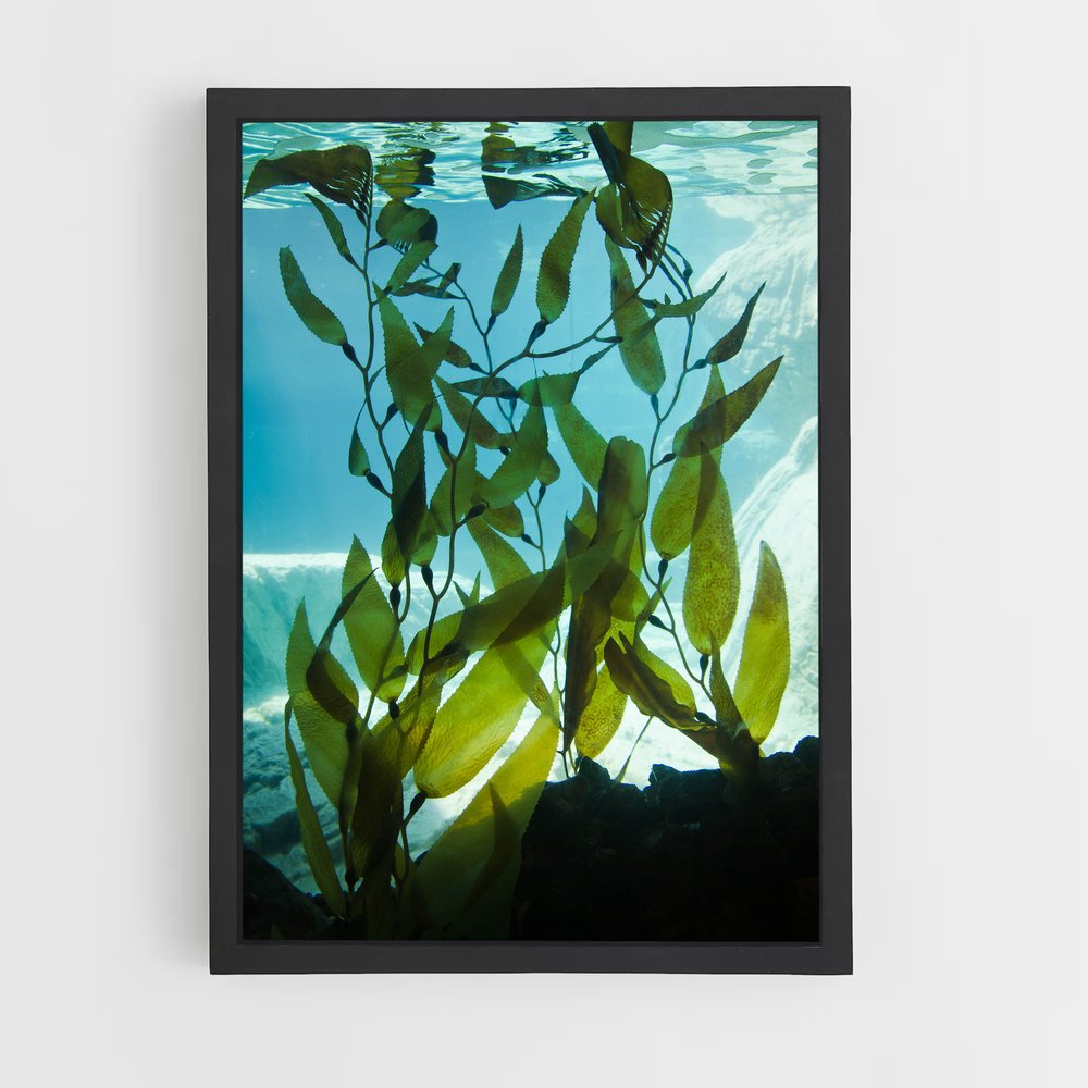 ap-aquatic-3 cadre Noir