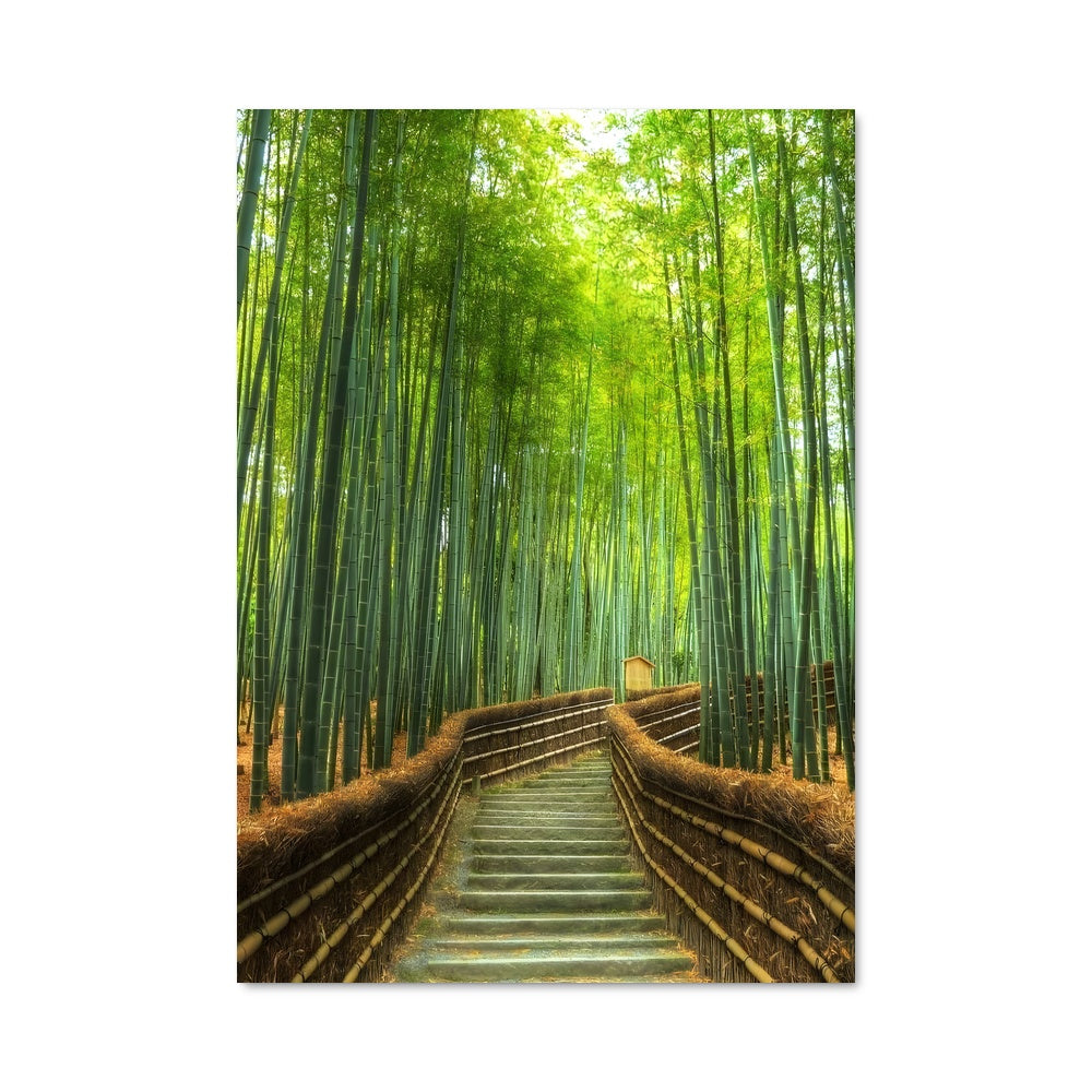 Poster Sentier de Bambou