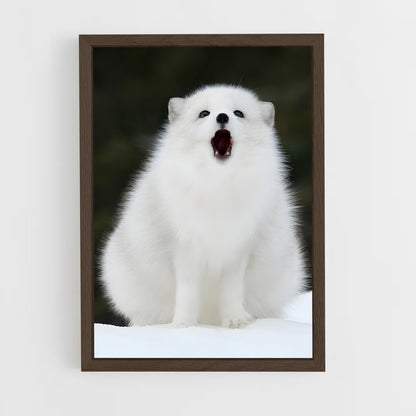 ap-arctic fox-4 cadre Bois foncé