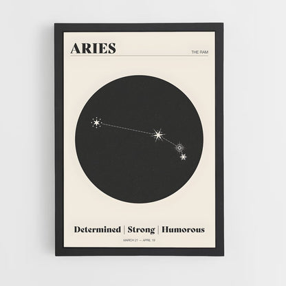 ap-aries-5 cadre Noir