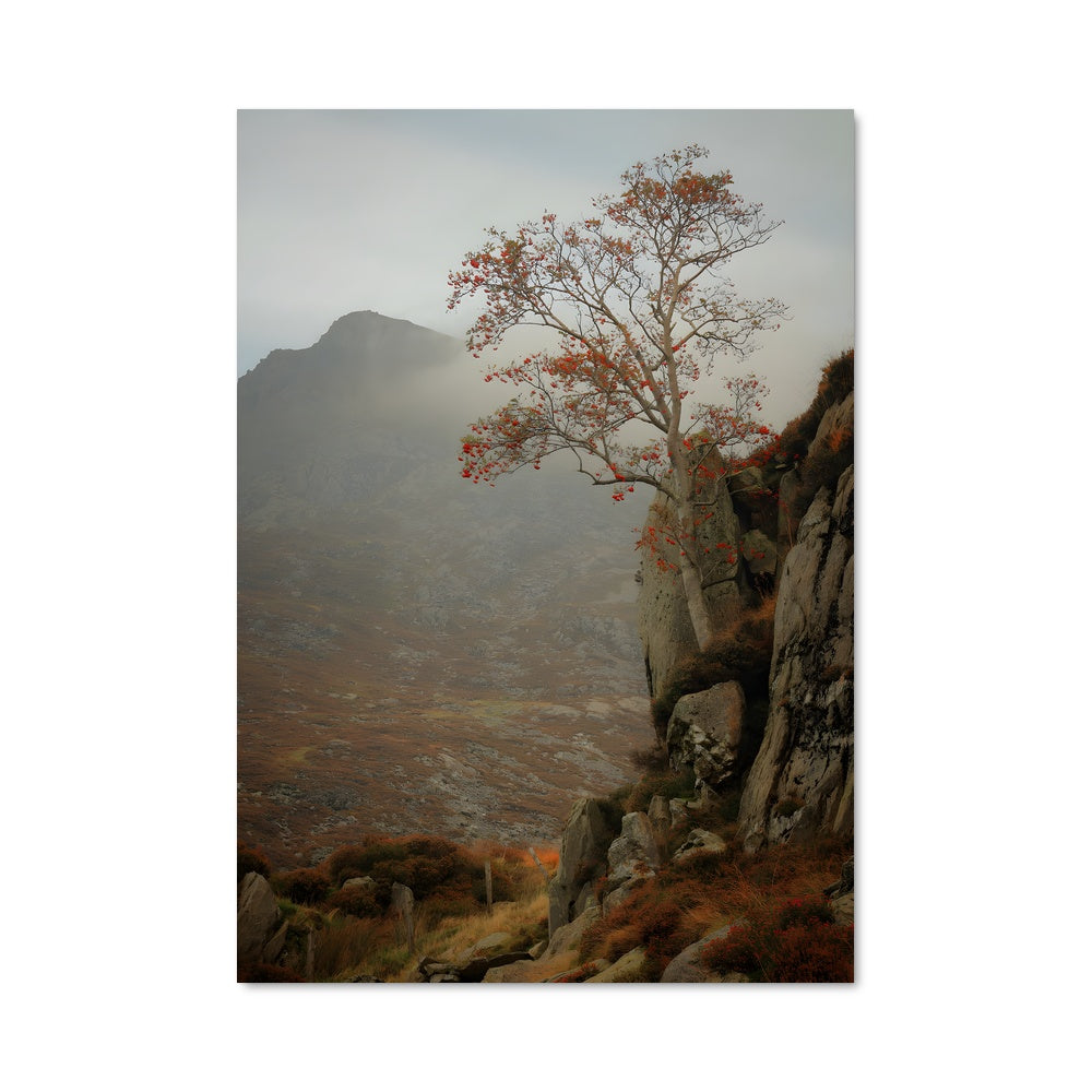 Poster Solitaire Écorché