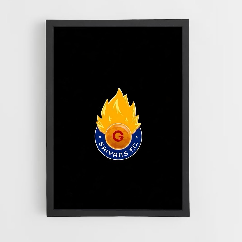 ap-aswan fc-1 cadre Noir