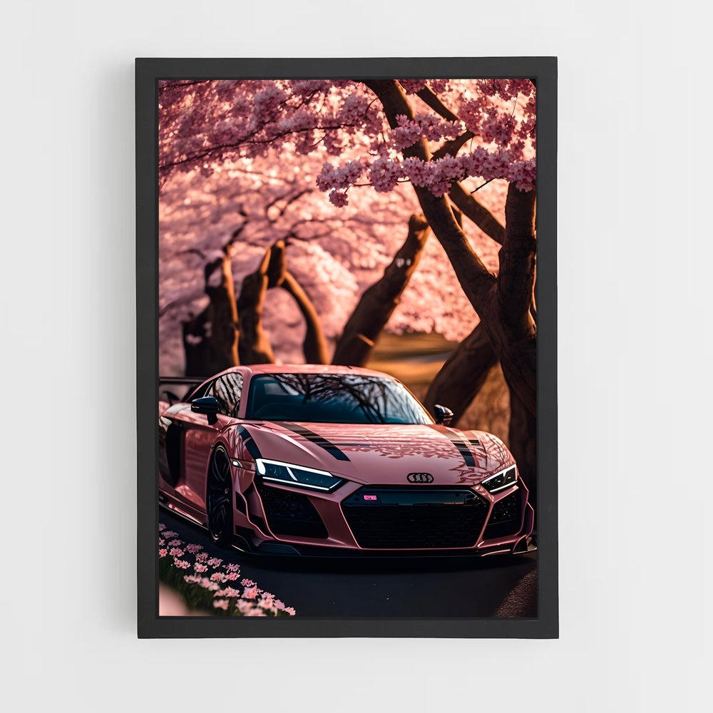 ap-audi-5 cadre Noir