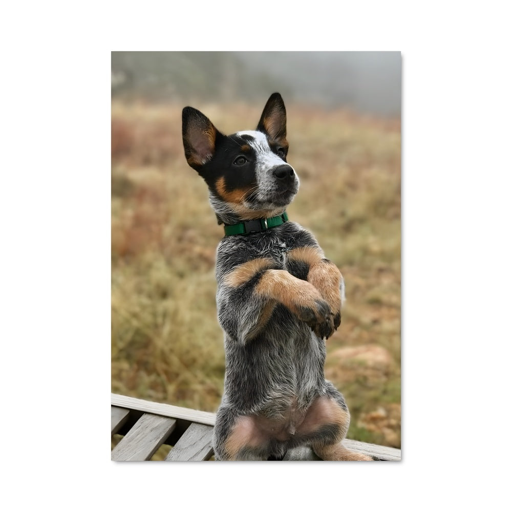 Poster Le Gardien des Bancs