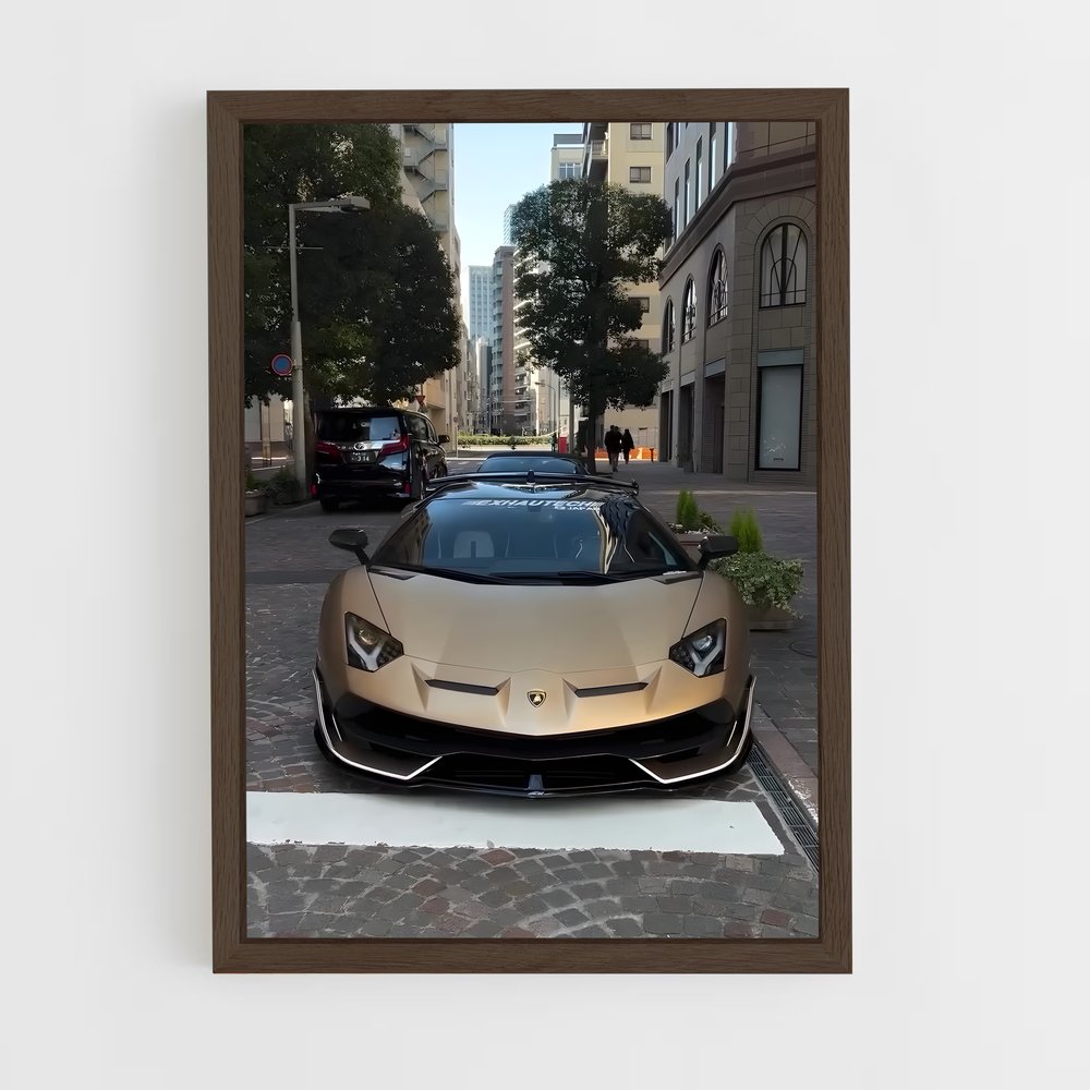 ap-aventador svj-1 cadre Bois foncé