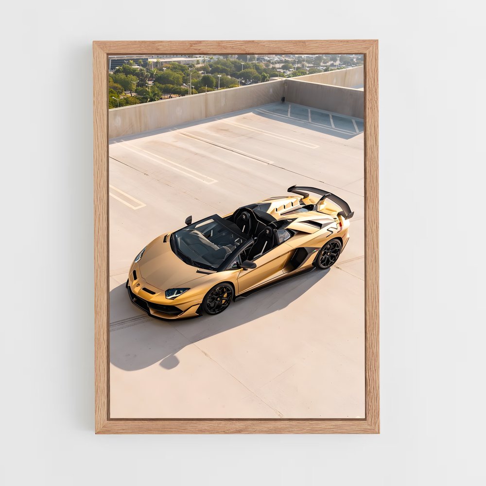 ap-aventador svj roadster-2 cadre Bois clair