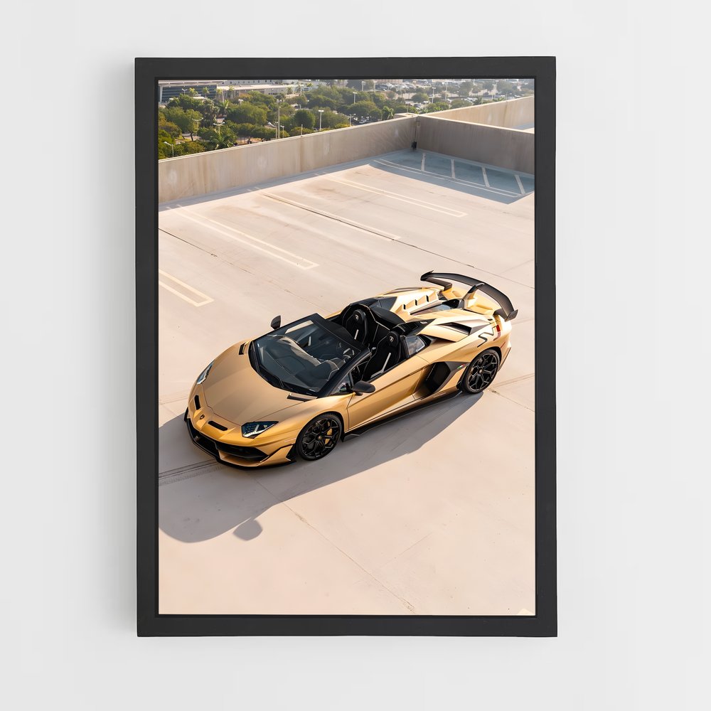 ap-aventador svj roadster-2 cadre Noir