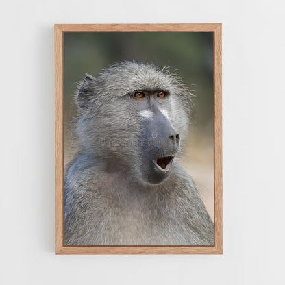 ap-baboon-3 cadre Bois clair