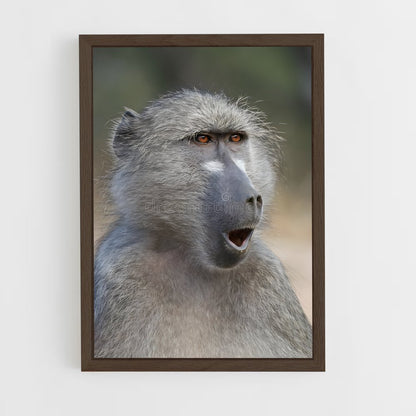 ap-baboon-3 cadre Bois foncé