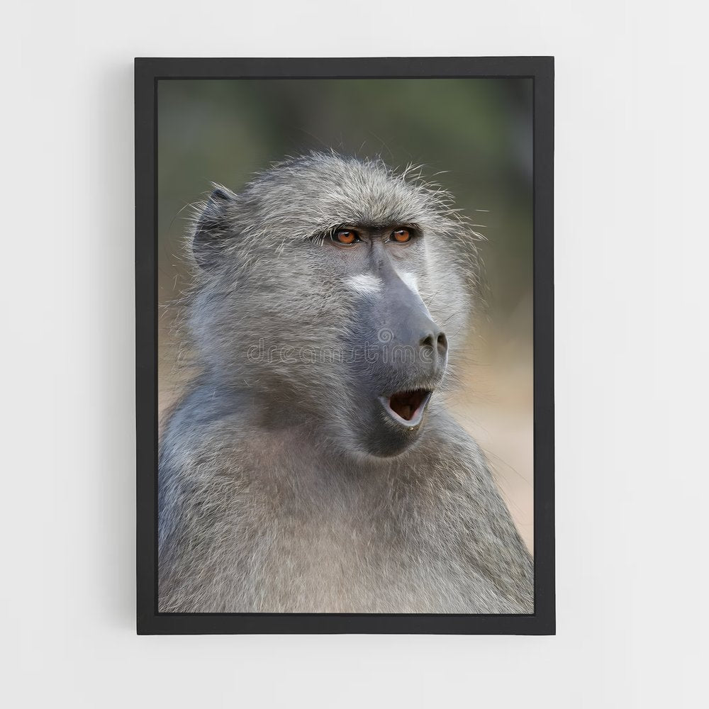ap-baboon-3 cadre Noir