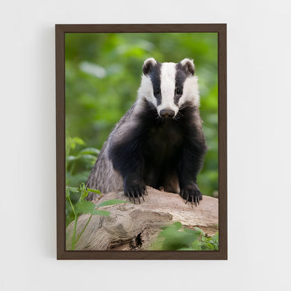ap-badger-1 cadre Bois foncé