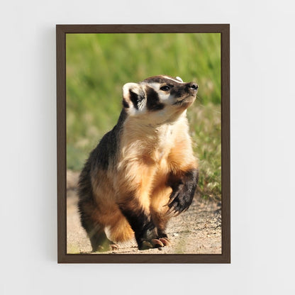 ap-badger-2 cadre Bois foncé