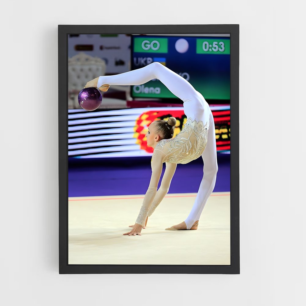 ap-ball rhythmic gymnastics-4 cadre Noir
