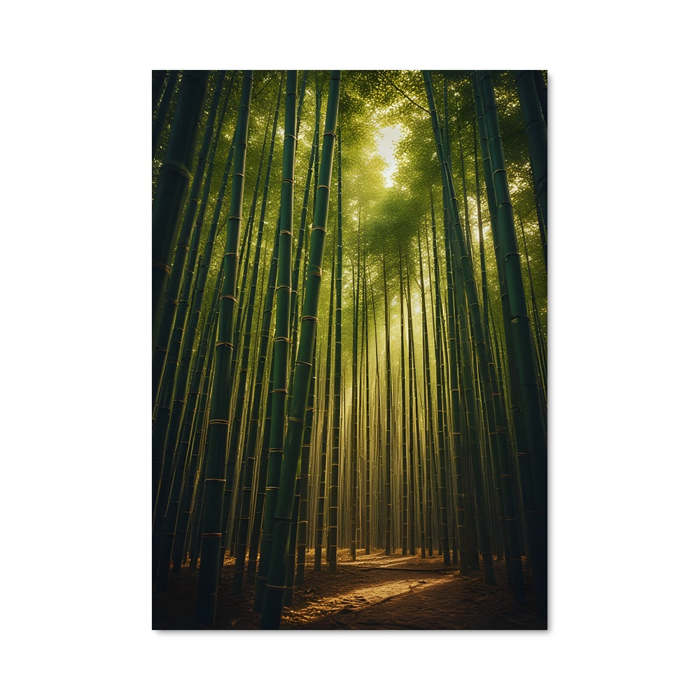 Poster Bamboo forest 94941