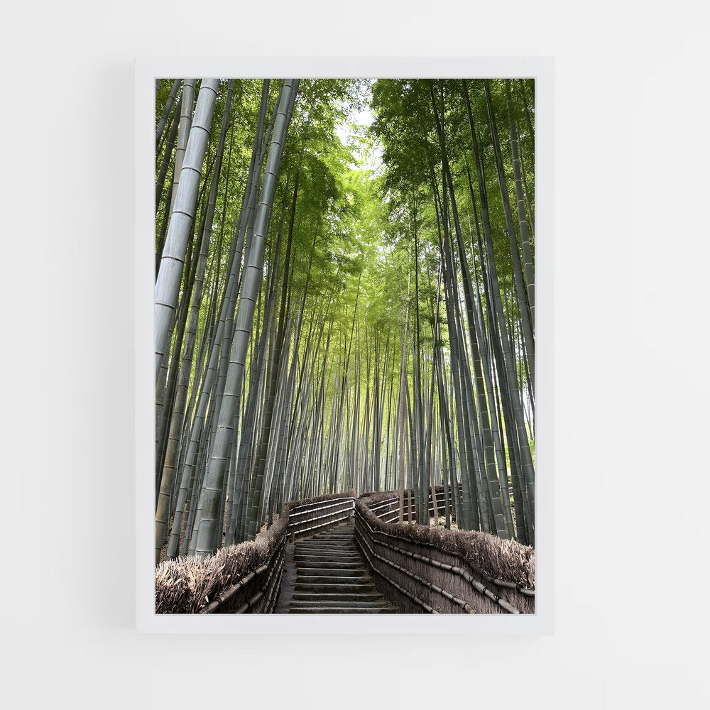 ap-bamboo forest-3 cadre Blanc