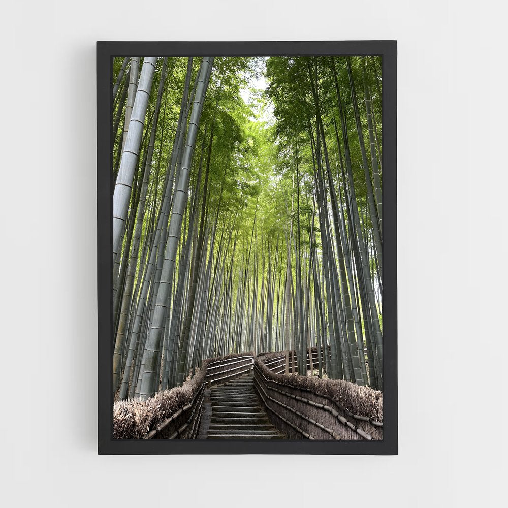 ap-bamboo forest-3 cadre Noir