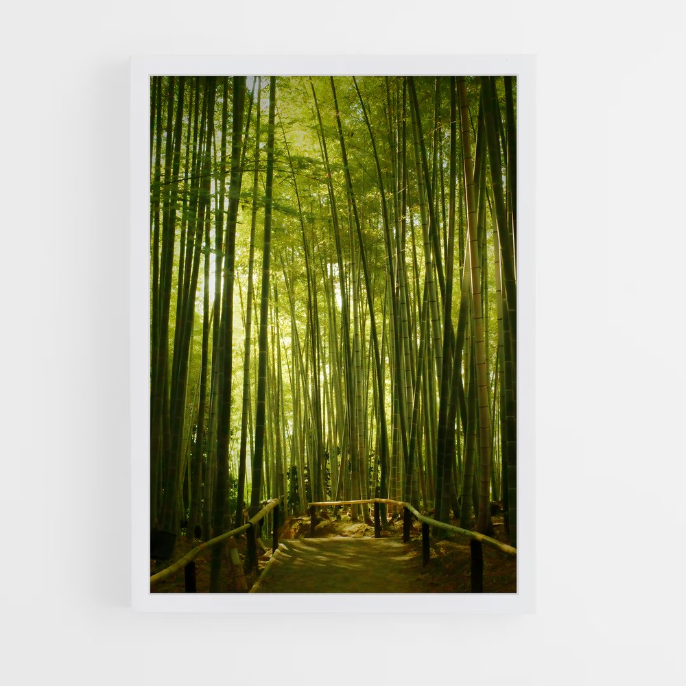 ap-bamboo forest-9 cadre Blanc