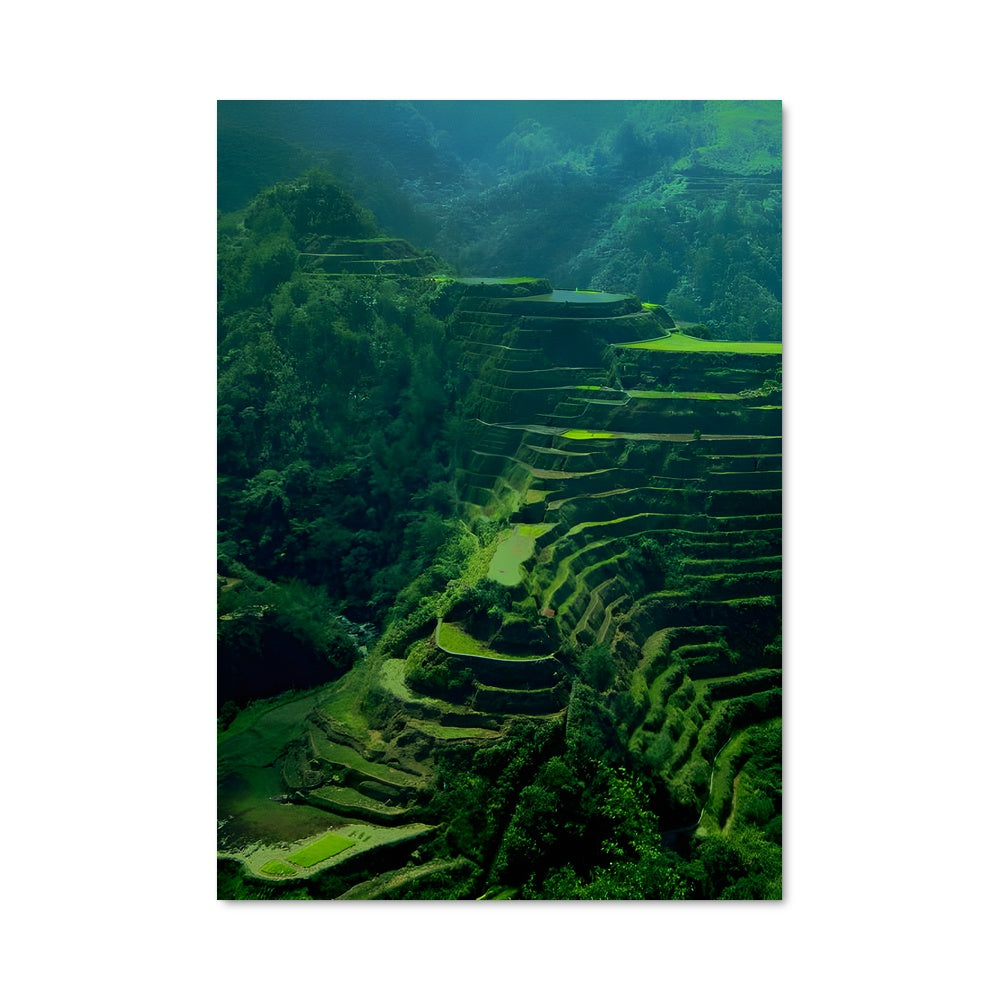 Poster Banaue rice terraces 88970