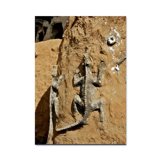 Poster Fossile du Désert