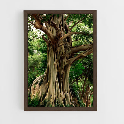 ap-banyan tree-1 cadre Bois foncé