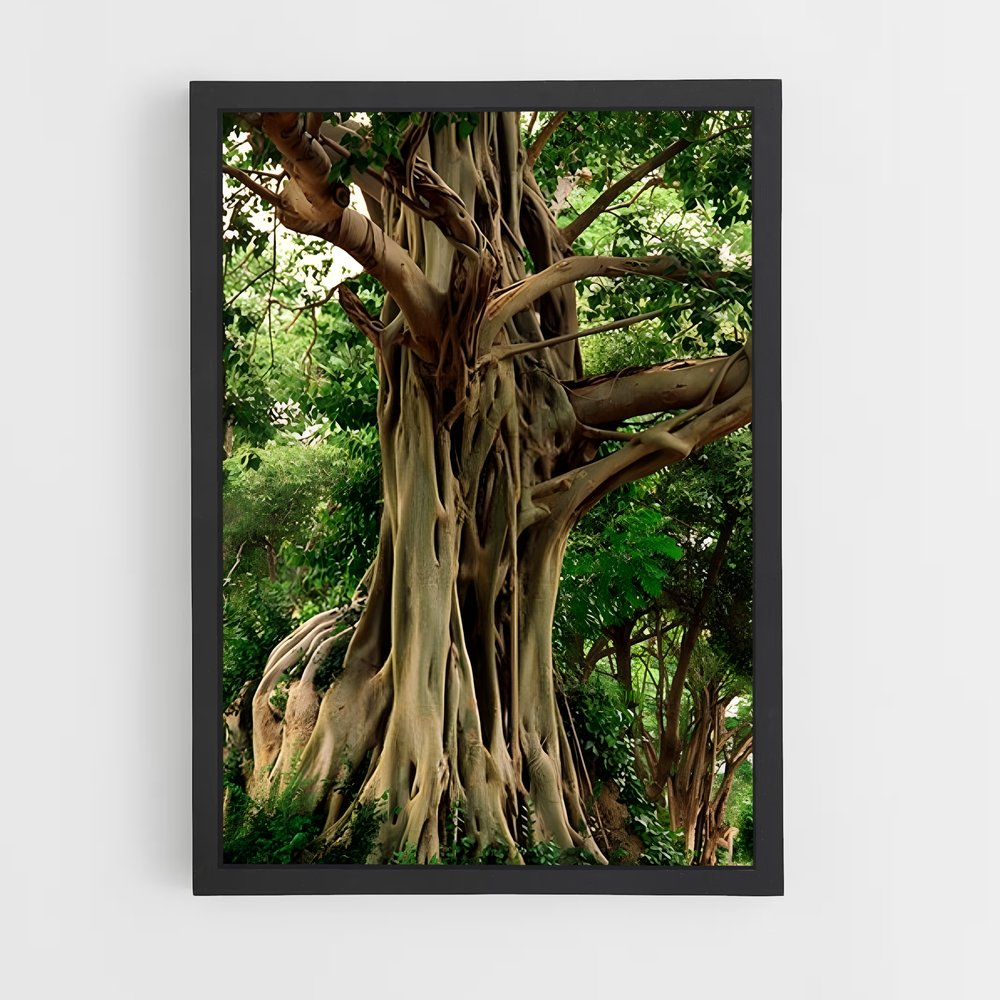 ap-banyan tree-1 cadre Noir