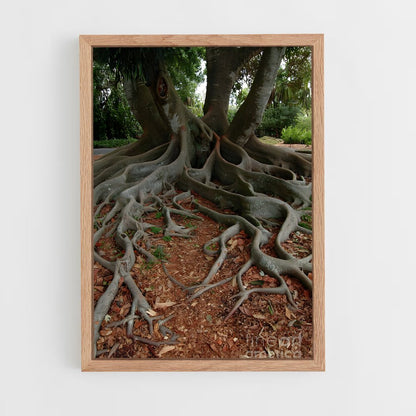 ap-banyan tree-3 cadre Bois clair