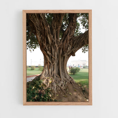 ap-banyan tree-4 cadre Bois clair