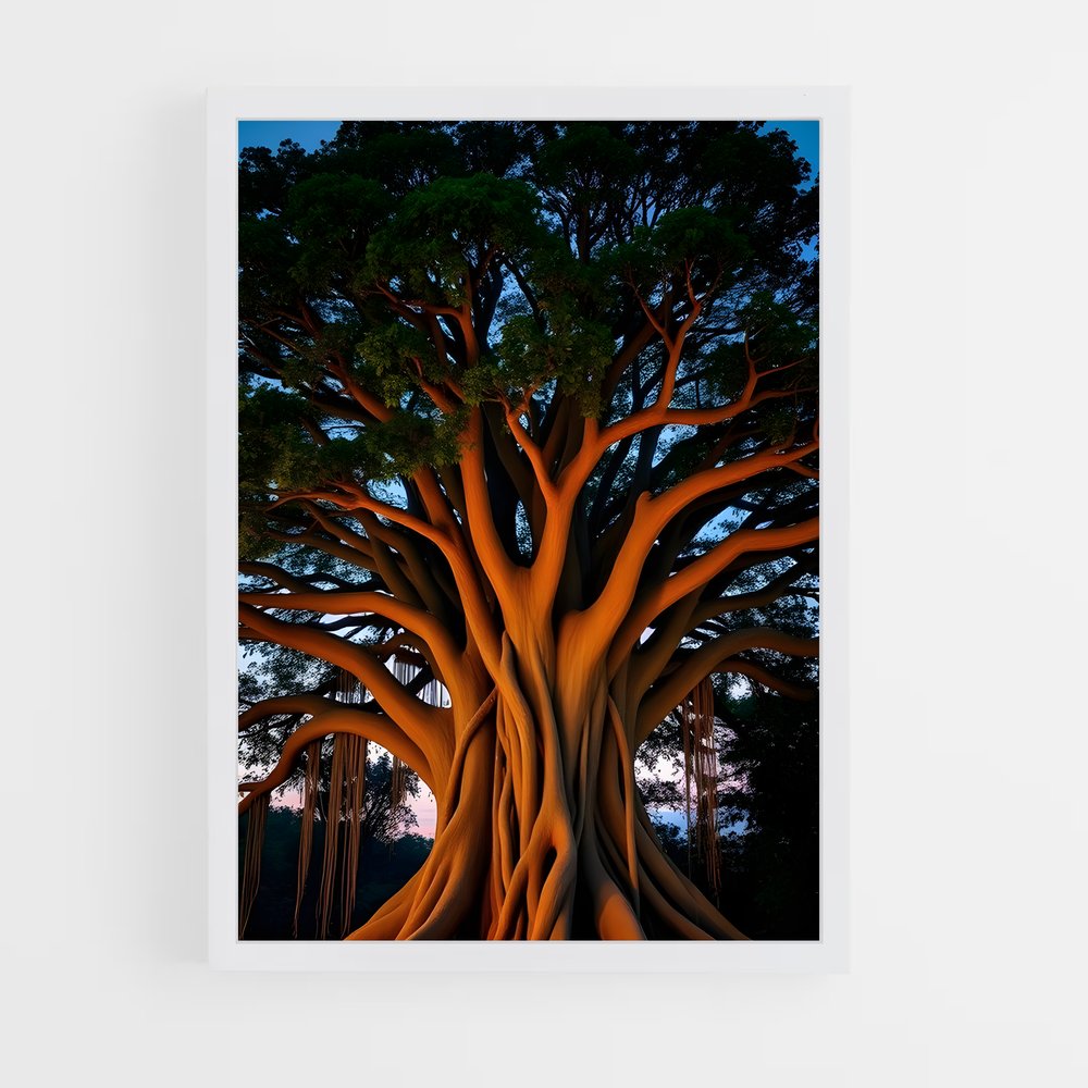 ap-banyan tree-8 cadre Blanc