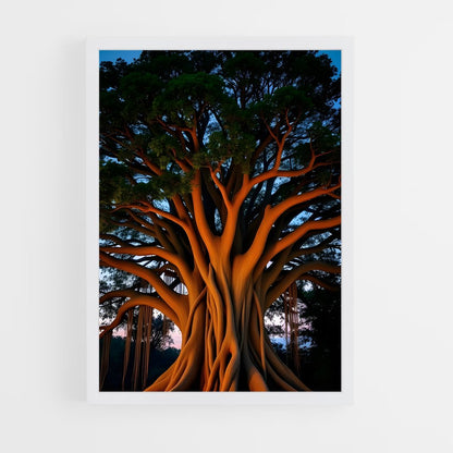 ap-banyan tree-8 cadre Blanc