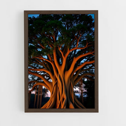 ap-banyan tree-8 cadre Bois foncé