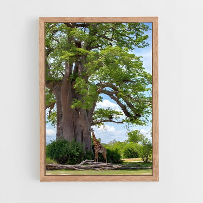 ap-baobab-2 cadre Bois clair