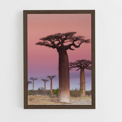 ap-baobab-5 cadre Bois foncé