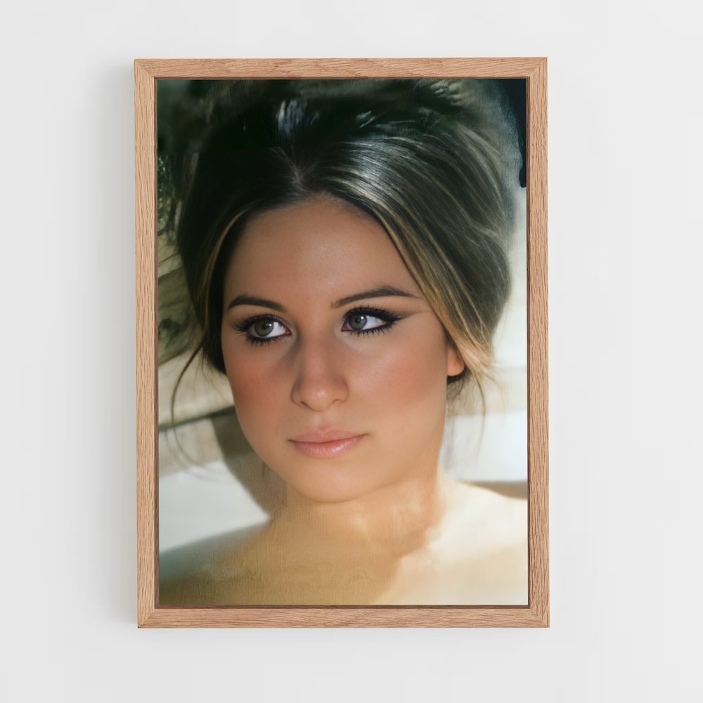 ap-barbra streisand-3 cadre Bois clair