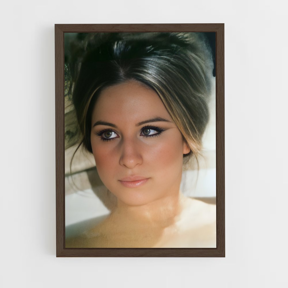 ap-barbra streisand-3 cadre Bois foncé