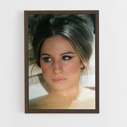 ap-barbra streisand-3 cadre Bois foncé