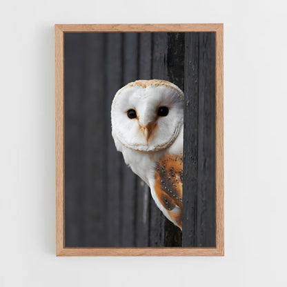 ap-barn owl-4 cadre Bois clair