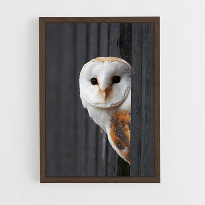 ap-barn owl-4 cadre Bois foncé