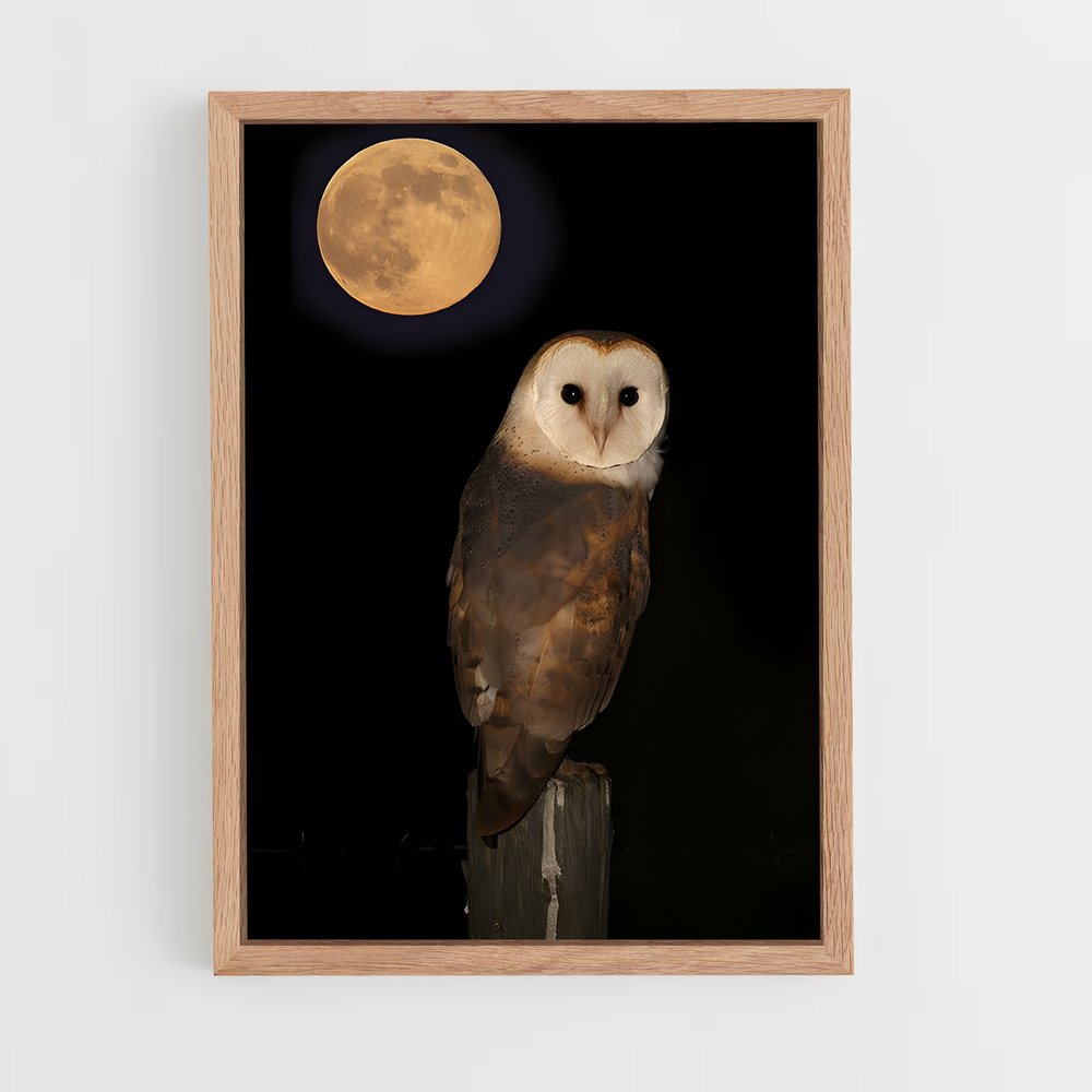 ap-barn owl-5 cadre Bois clair