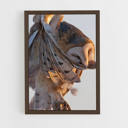 ap-barn owl-6 cadre Bois foncé