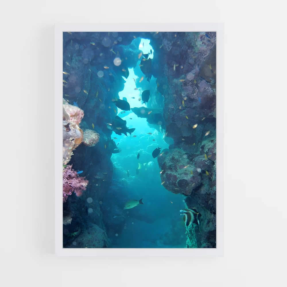 ap-barrier reef-1 cadre Blanc