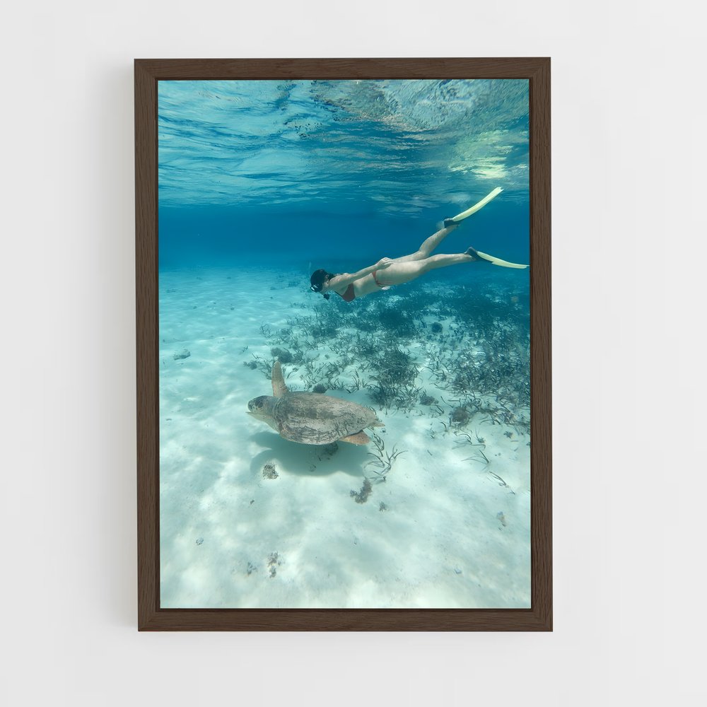 ap-barrier reef-4 cadre Bois foncé