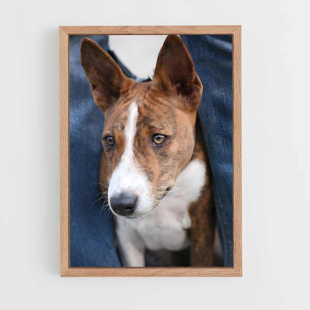 ap-basenji-5 cadre Bois clair