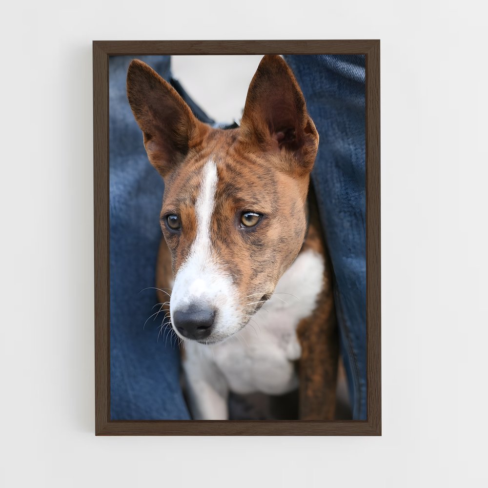 ap-basenji-5 cadre Bois foncé