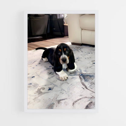 ap-basset hound-2 cadre Blanc