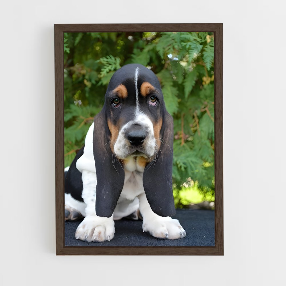 ap-basset hound-3 cadre Bois foncé