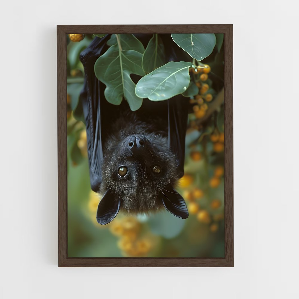 ap-bat-4 cadre Bois foncé